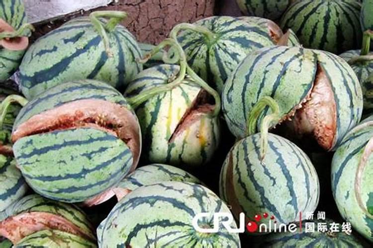 叶面肥是不是膨大剂