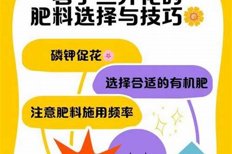 种黄瓜要什么底肥复合肥