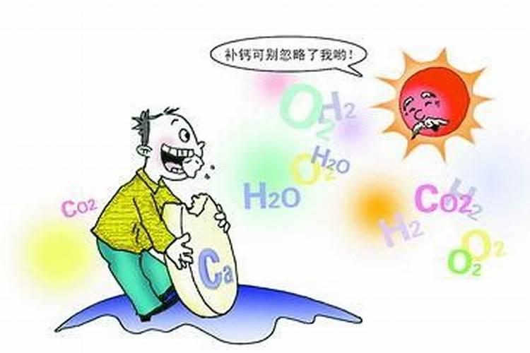 南洋杉如何养