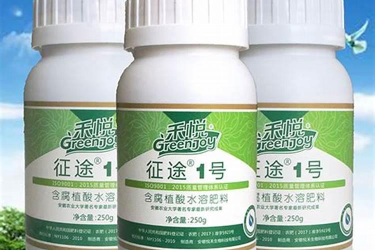 安徽迪巧是真的吗