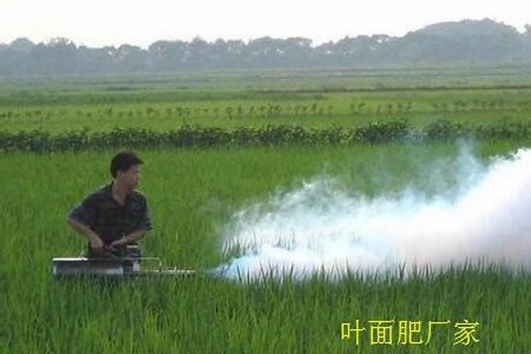 果树煤烟病最有效的杀菌剂不打药的处理方法有哪些