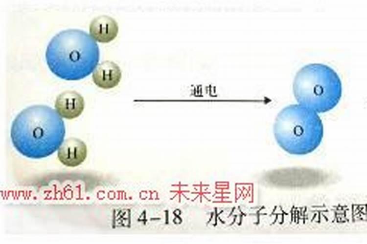 家庭养花用什么肥