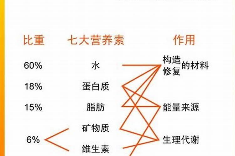 种菜用什么肥料最好