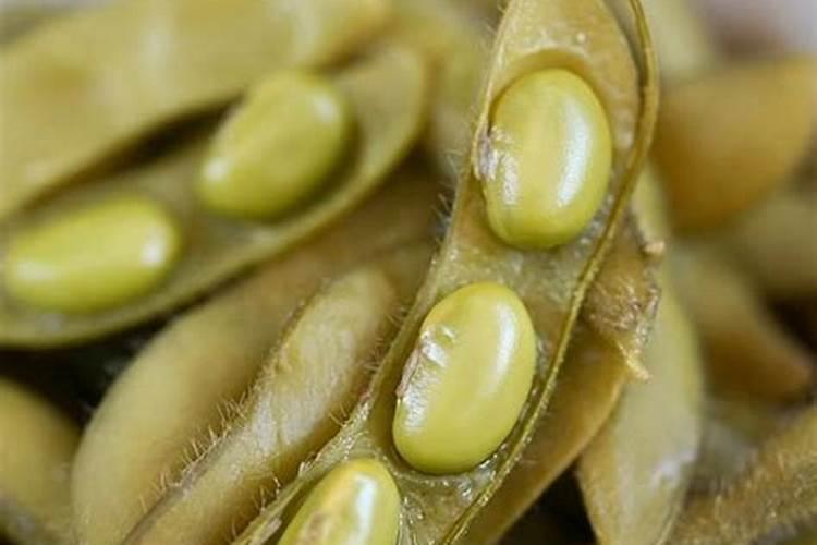 毛豆开花期施叶面肥用什么肥最好？