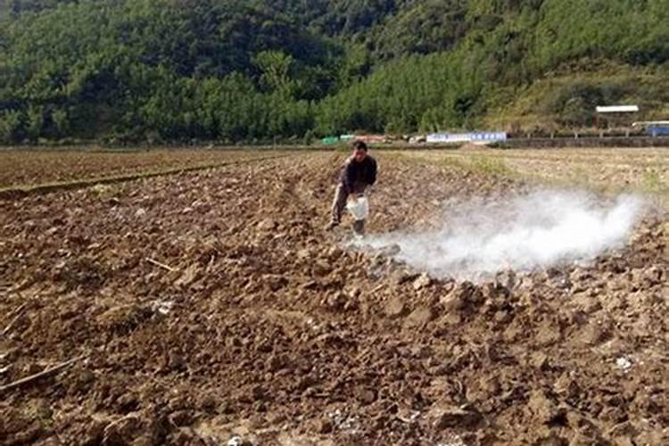 鱼塘里为什么先施肥只要两天就可以洒石灰消毒,而先洒石灰却为什么...