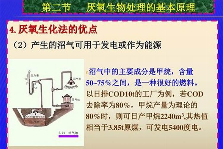 求个生态系统的氮气循环的过程介绍