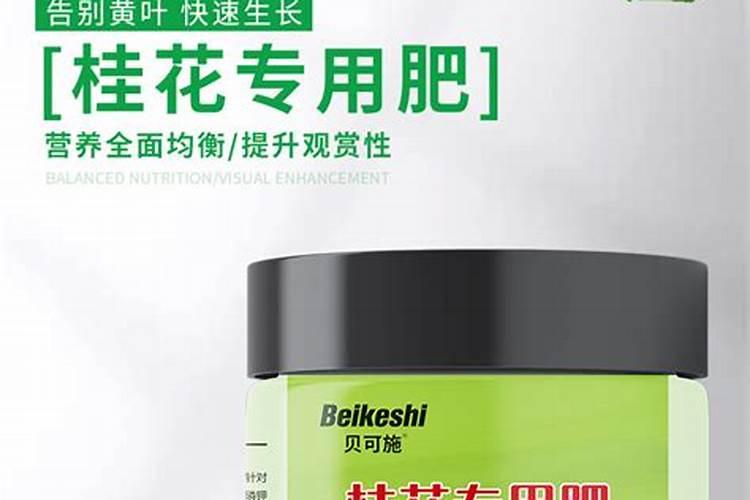 桂花施肥用什么农家肥