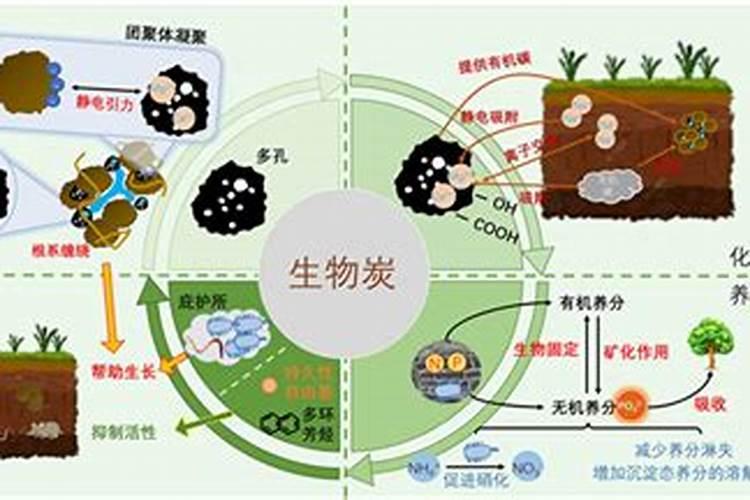 黄腐酸钾复合肥对农作物的作用？