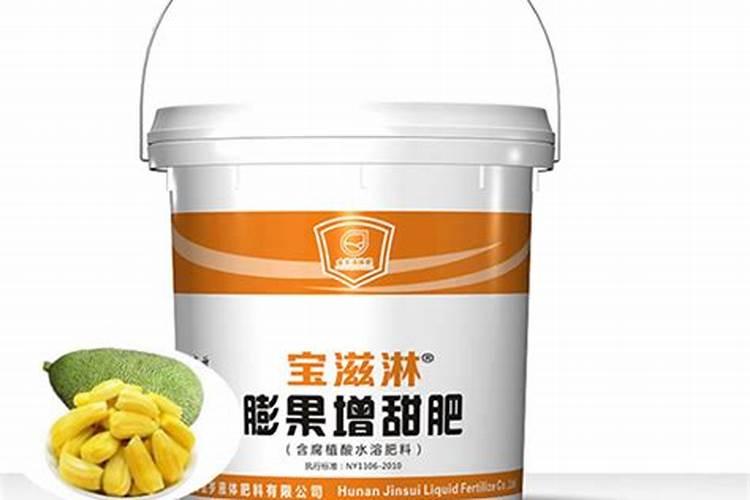 菠萝蜜应该怎么施肥 不开花怎么办