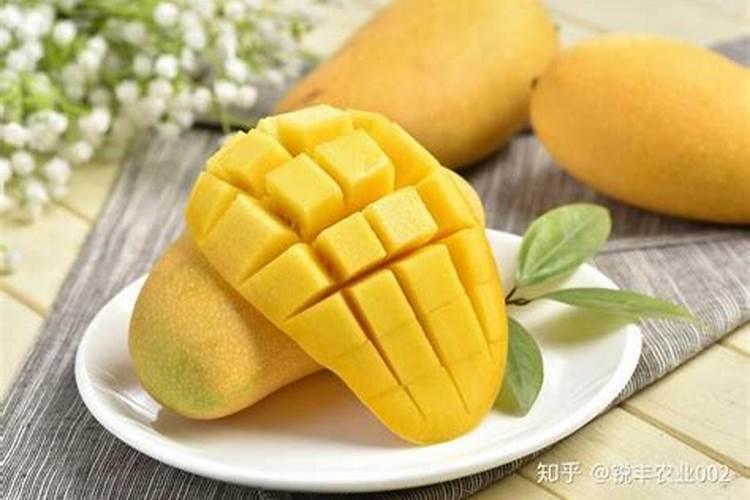 大蒜中后期水肥管理