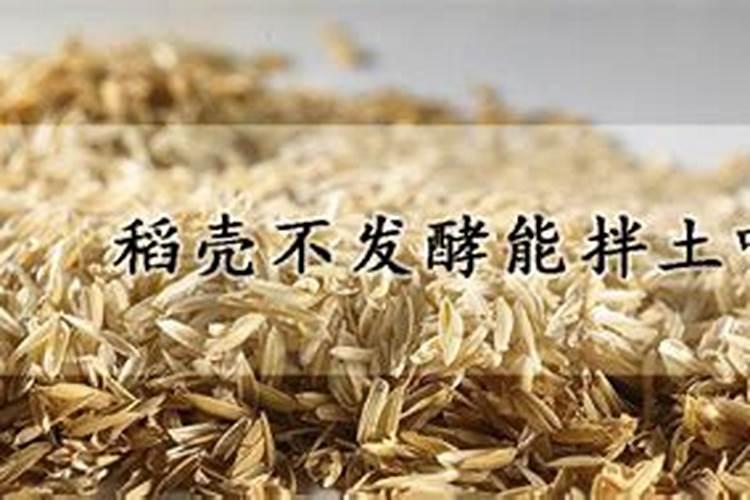 稻壳可以直接方放花盆里做花肥吗