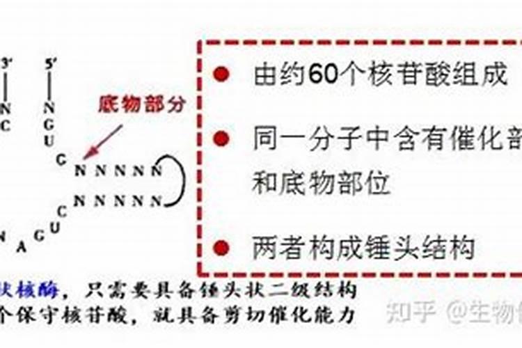 高中生物必修1总结