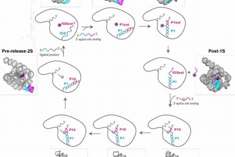 高一必修一生物有哪些考试常考的点啊？必须掌握的有哪些？