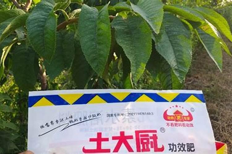 磷肥是指哪些肥料