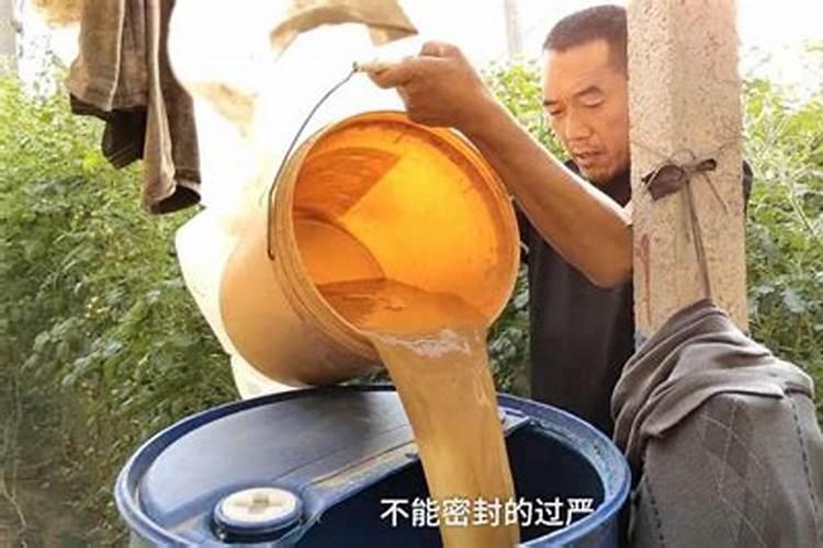 红糖和酵母粉怎样做菌肥 红糖和酵母粉如何做菌肥