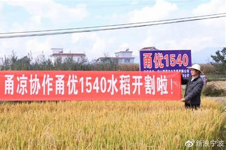 红四方玉米专用复合肥多少钱一吨？