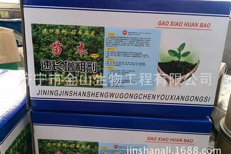 杨树需不需要打叶面肥呢？