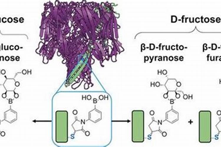 植物叶面喷施硼肥时能加黑糖吗？