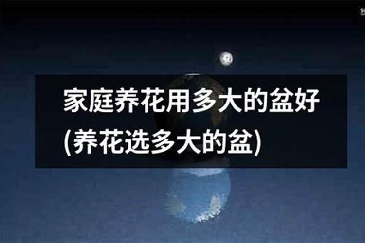 常用的氮肥有哪些种类