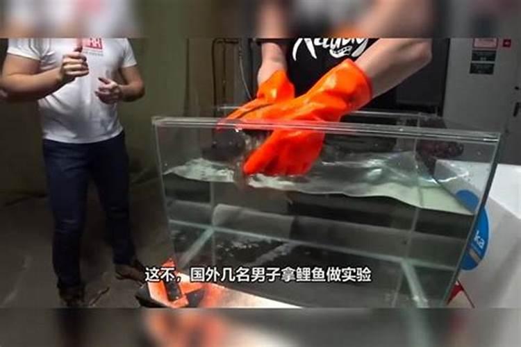 氮气都有什么作用？