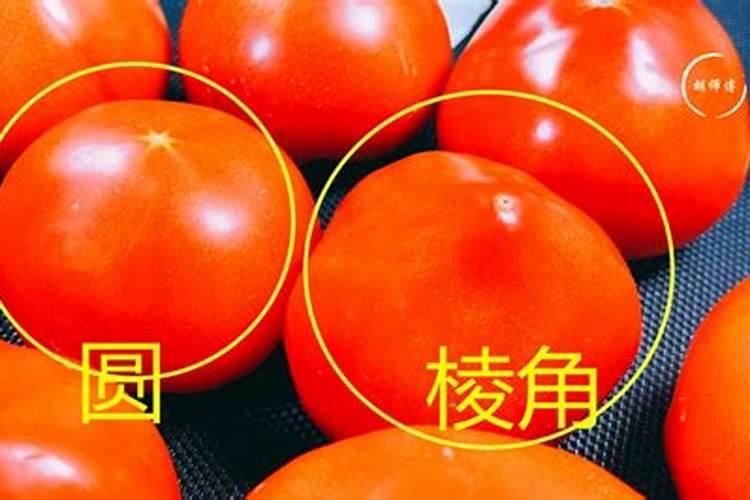 硼肥叶面喷施用量