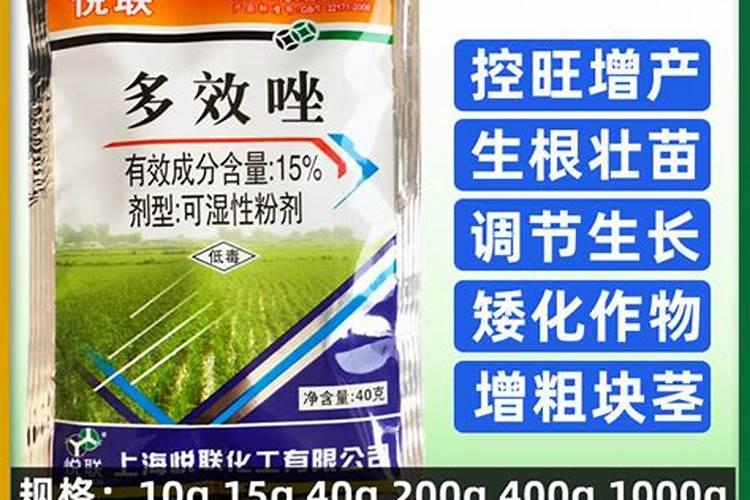 水稻控释肥啥时候施肥