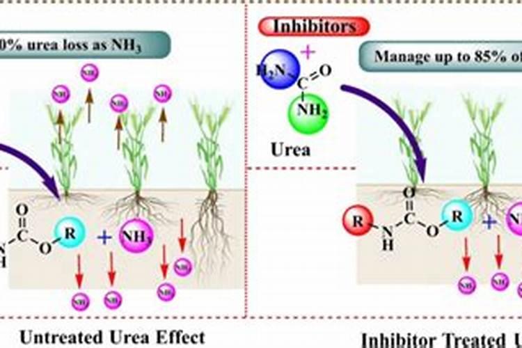 肥料增效剂属于激素类吗