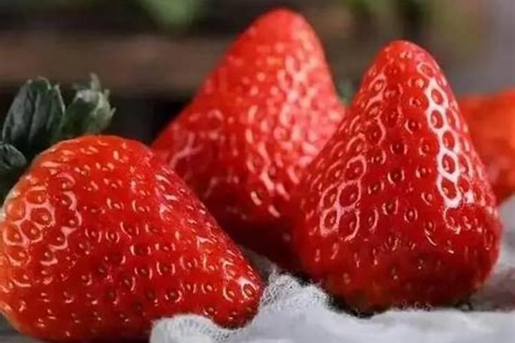 草莓种植过程中该施什么肥料