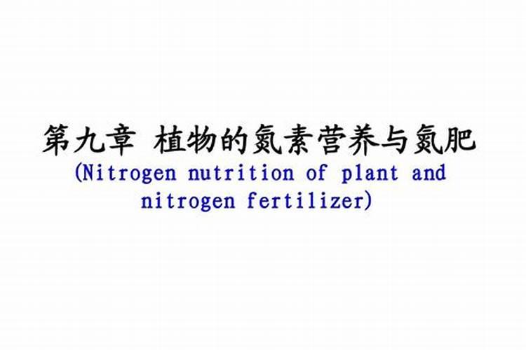 氮肥特点及施用方法