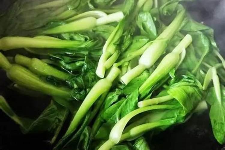 菜园子的白菜生长旺盛,老人说白菜要想长好,就要喷醋,白菜喷醋有用...