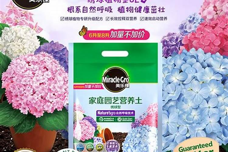 无尽夏叶片发黄原因和处理方法