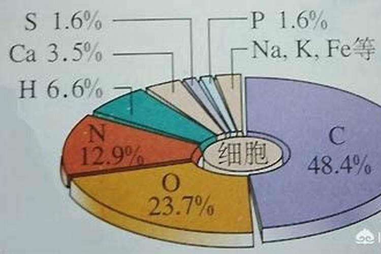 “现代芭蕾之父”是谁？