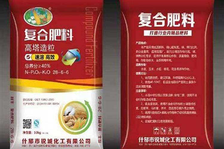 意大利生菜的田间管理