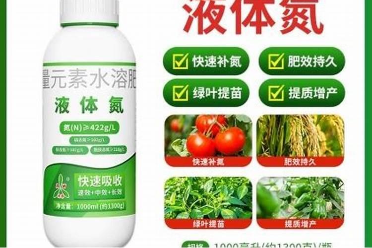 杨树施什么肥长得最快