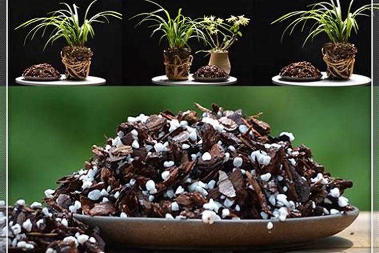 兰花用什么肥可以多开花,自制兰花肥料方法