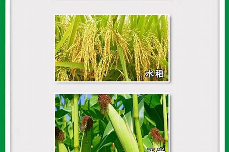 化肥是什么原料做的