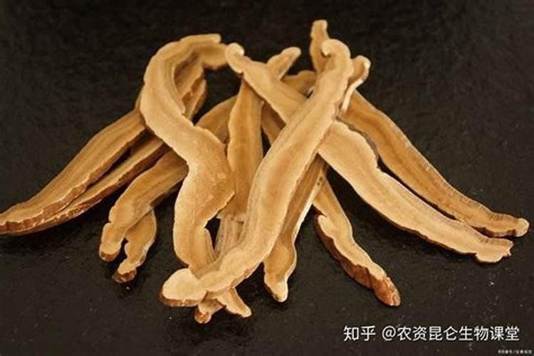 钾肥对植物的作用是什么