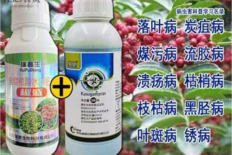 花椒用什么肥料好