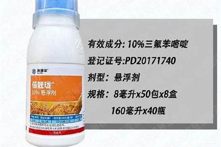 稻飞虱严重用什么药效果最好