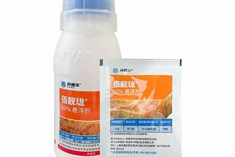 水稻打飞虱如何施药(水稻后期用什么药打飞虱效果好)