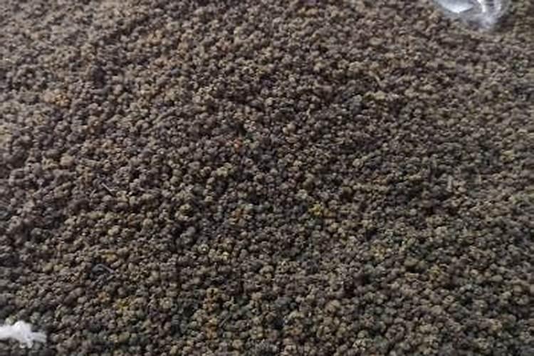 大棚西红柿啥时期冲施高磷肥？