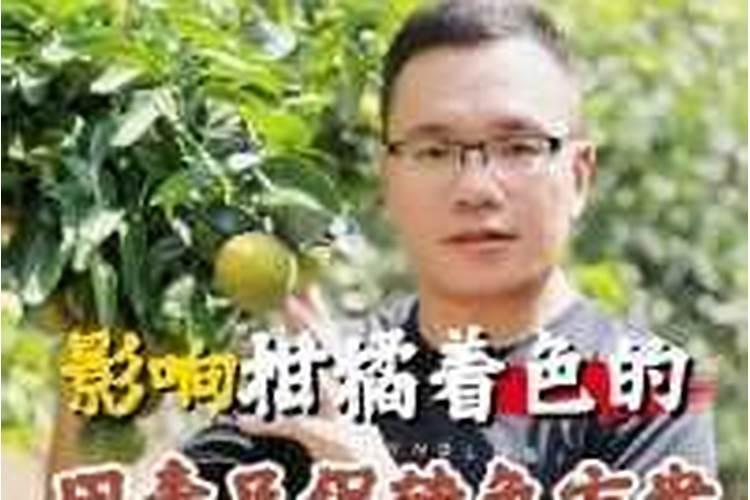 家里种植了很多柑橘,想让柑橘转色快一点,用什么肥料呢？
