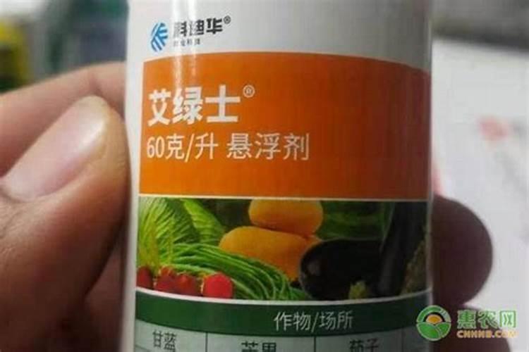茶花对土壤有什么要求吗？盆栽的茶花怎么配土最好？