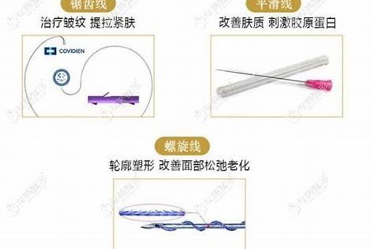 鱼缸蛋白虫怎样去除