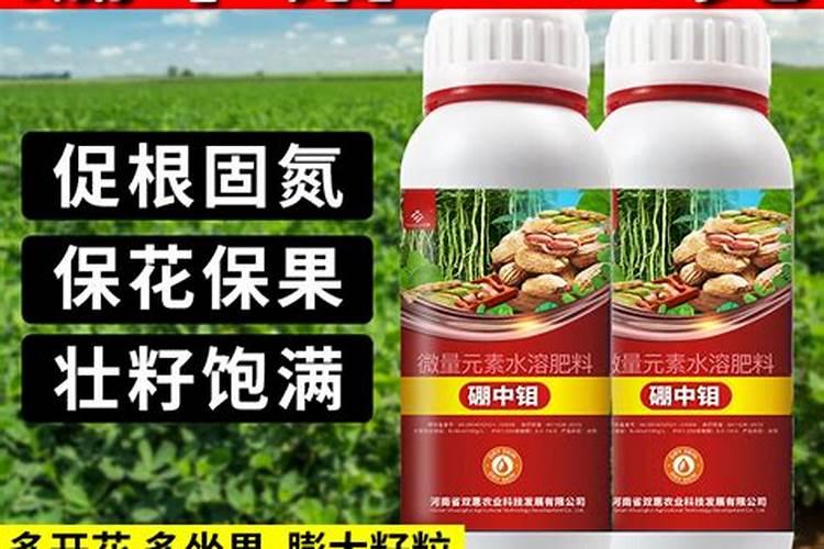 大豆喷什么叶面肥好,如何喷施