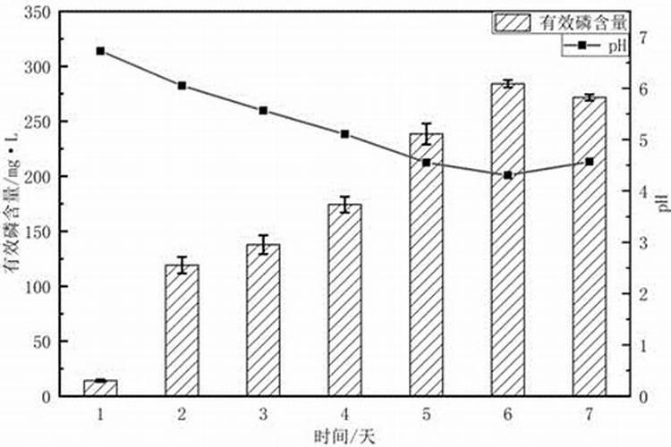 大叶红钻可以用速效磷肥吗
