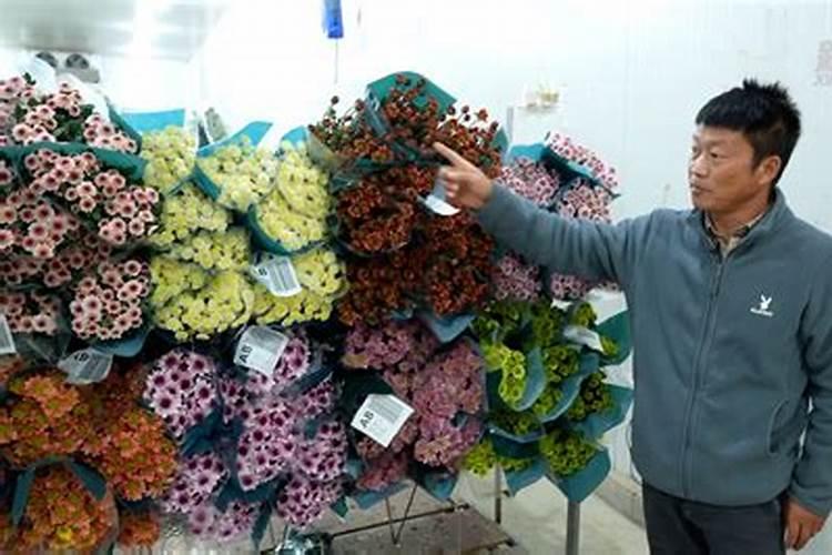 菊花的养殖方法