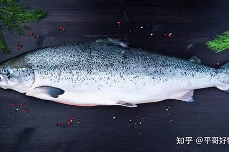 榆树下山桩出芽后能否喷些叶面肥