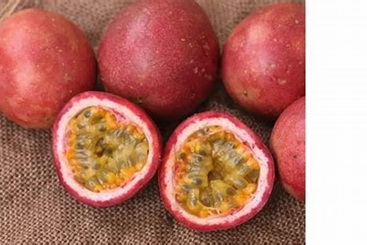 多肉缓释肥和控释肥有什么区别？