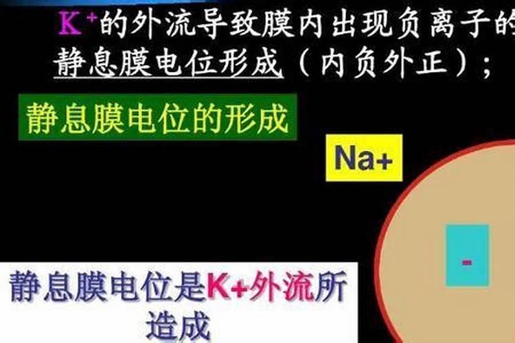 钾肥是什么